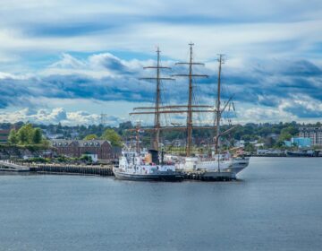 ships docked on the harbor