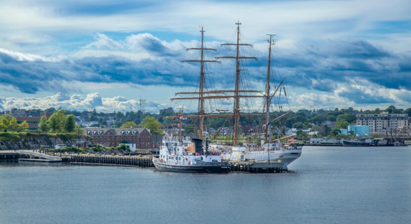 ships docked on the harbor